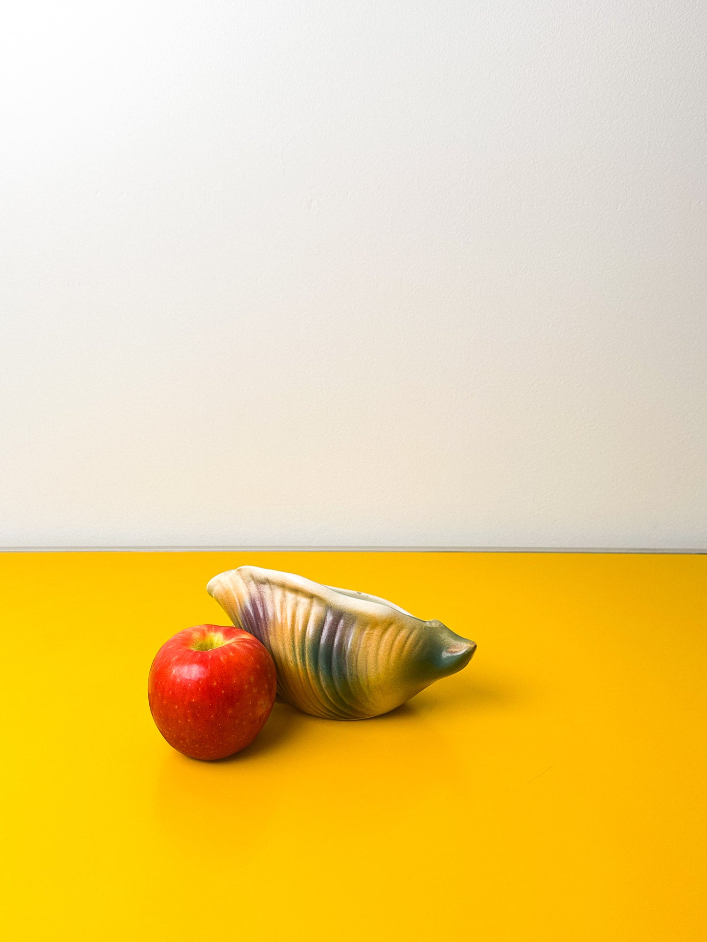 Painted Shell