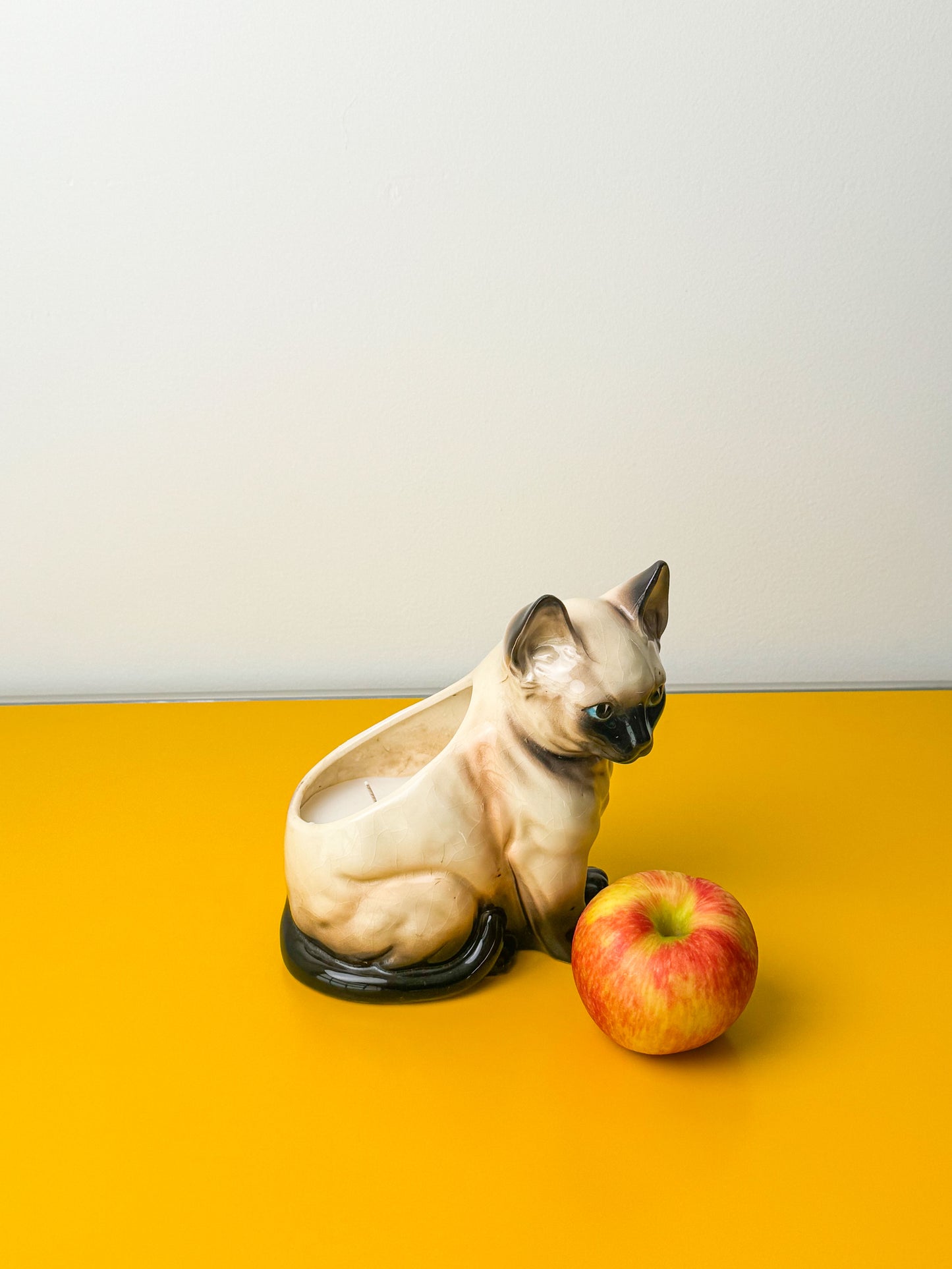 Cat Planter