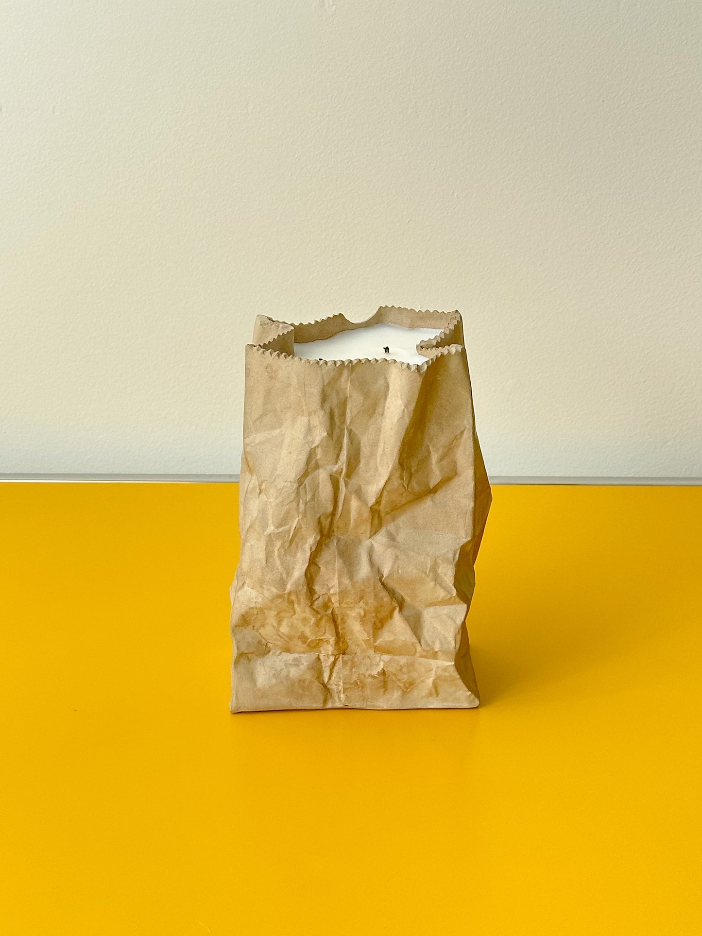 Brown Paper Bag