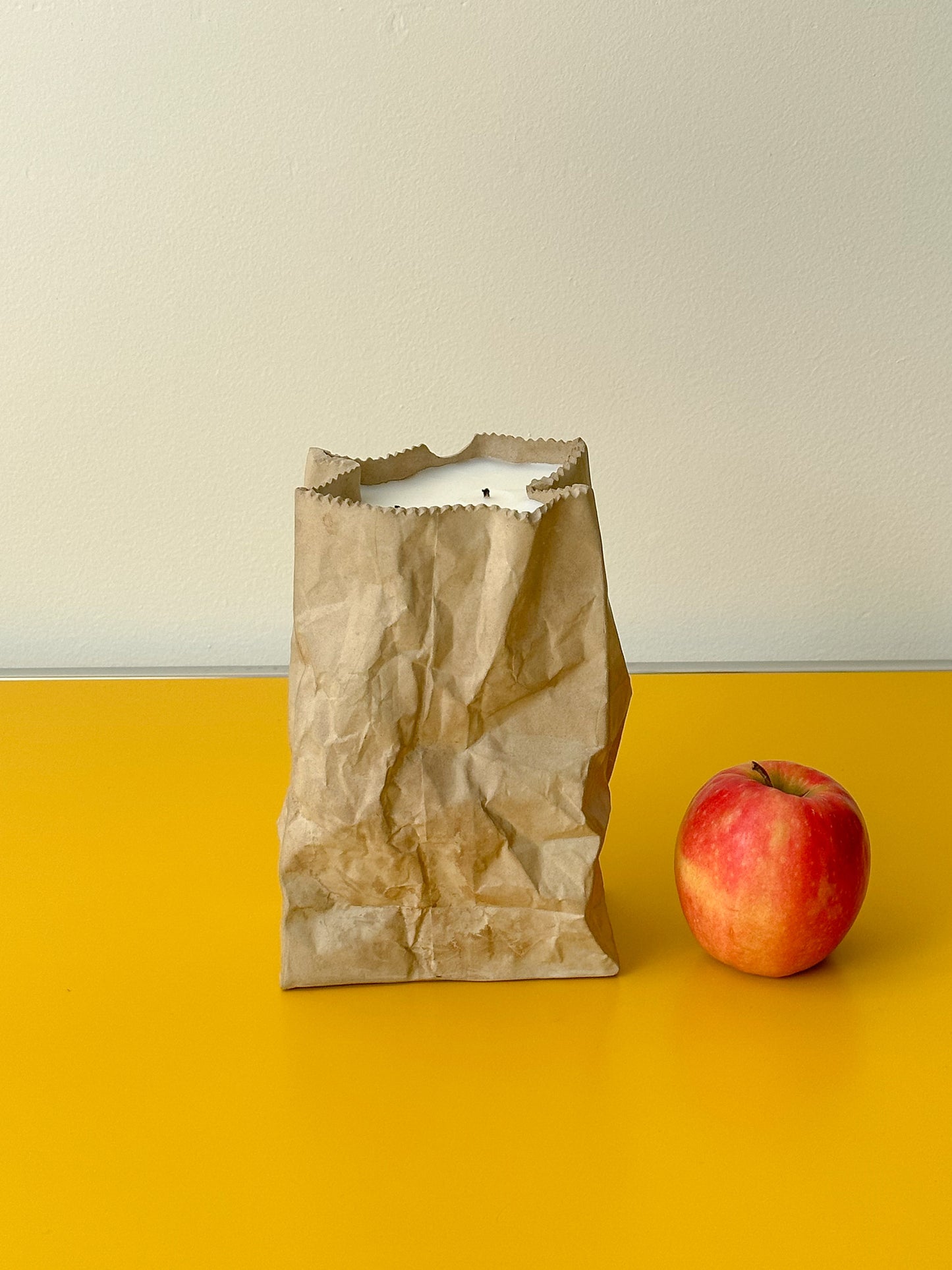 Brown Paper Bag