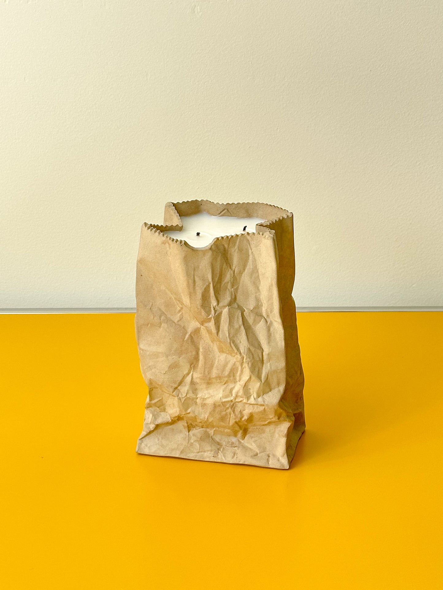 Brown Paper Bag