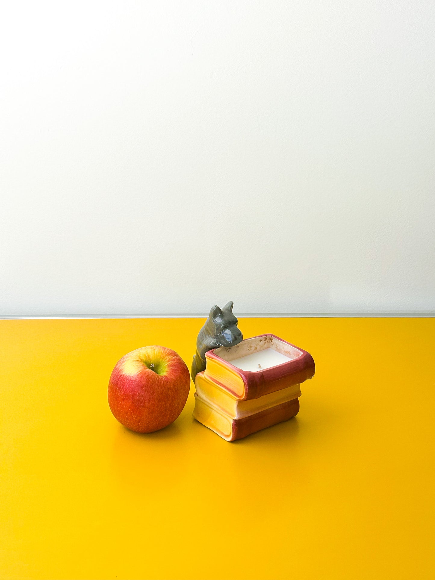 Dog Climbing Books