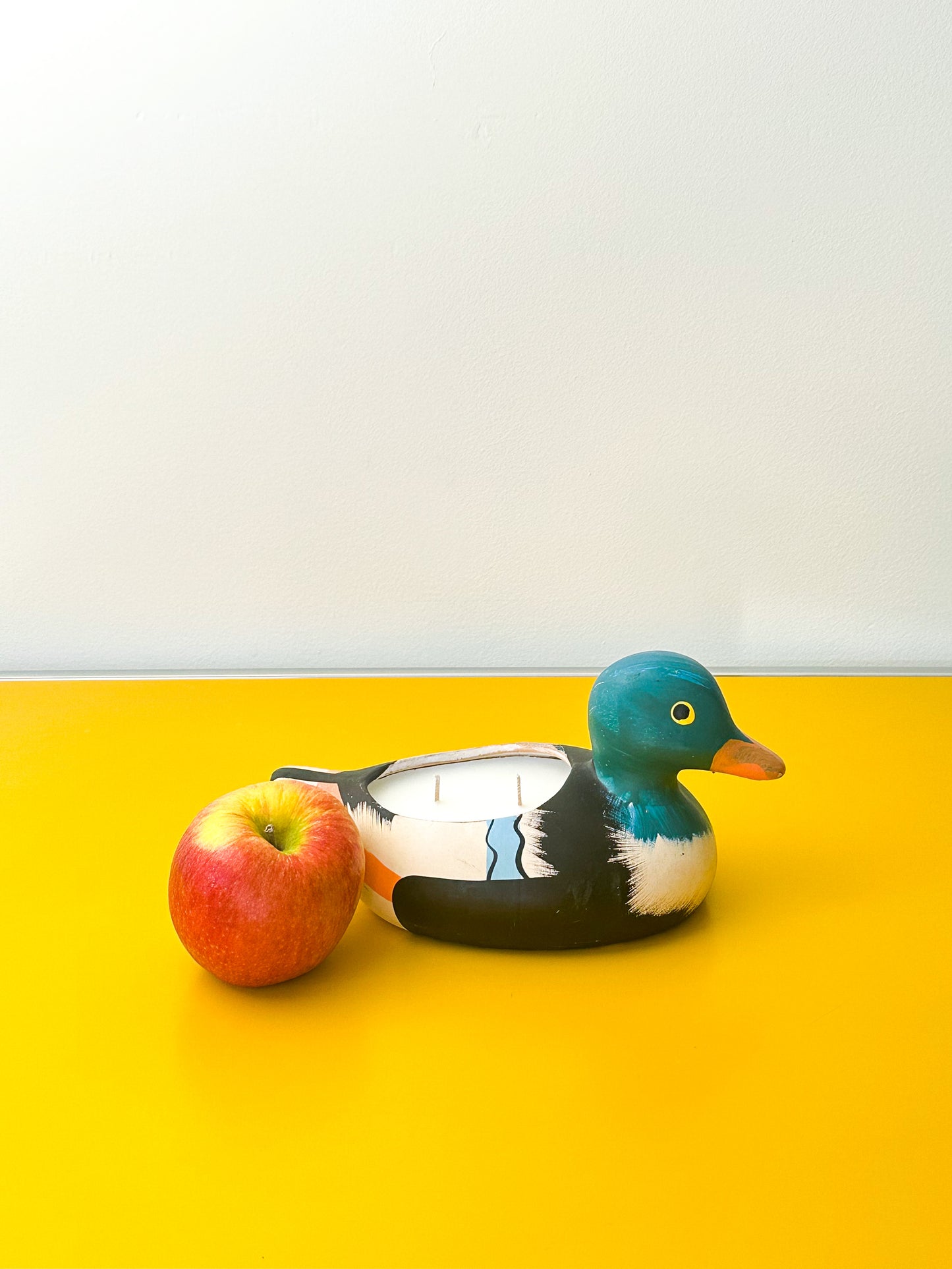 Painted Duck