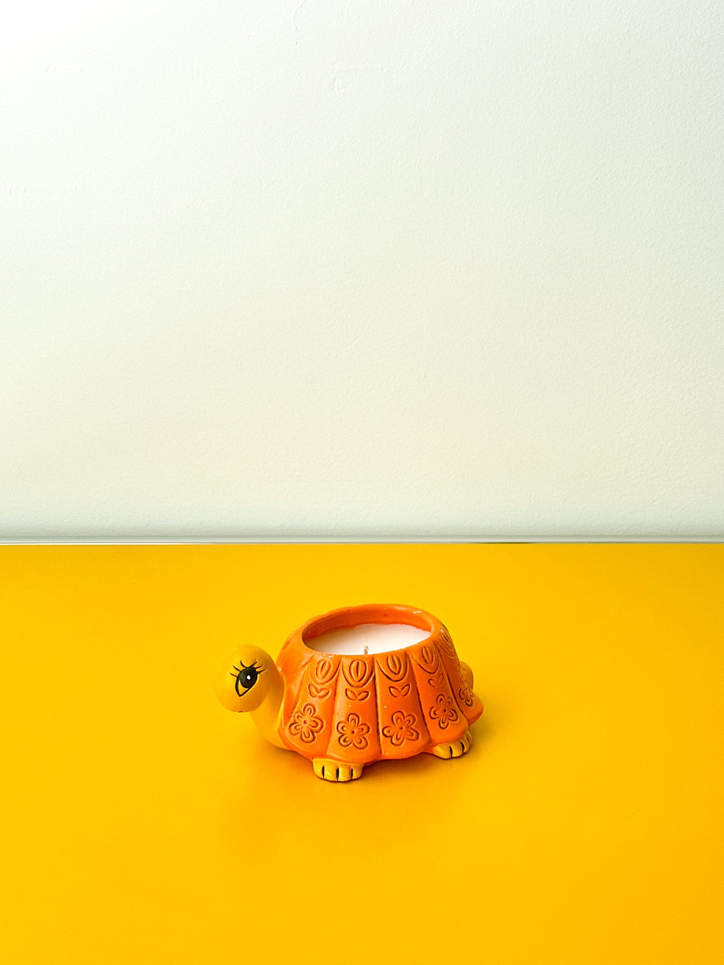 Orange Turtle